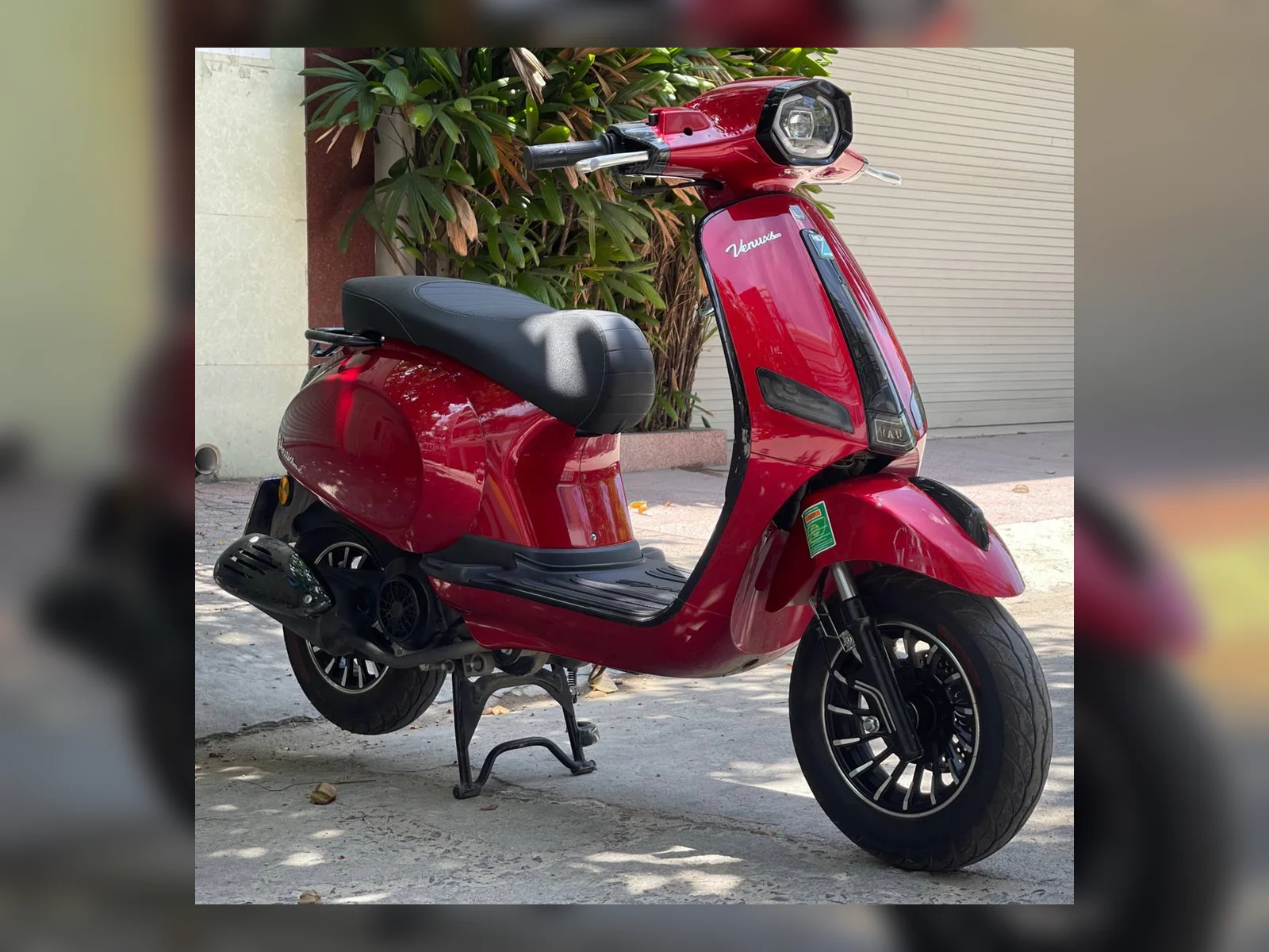 Venuxs 50cc